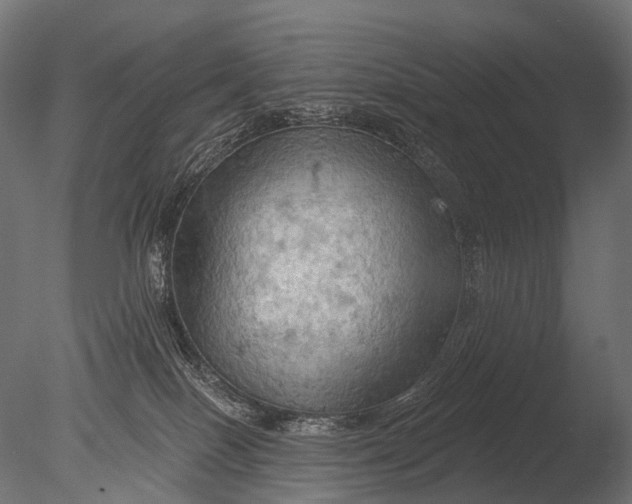 X0000085060086200703261216