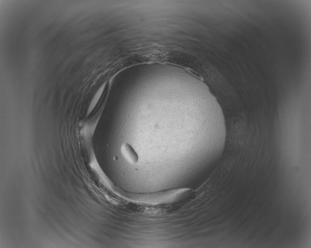 X0000085060088200703261216