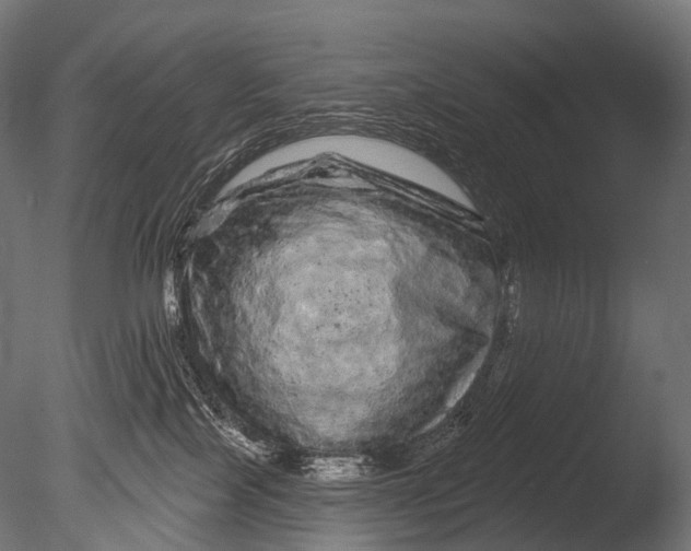 X0000085060089200703261216