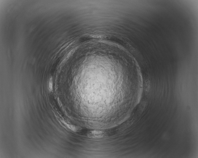 X0000085060095200703261216