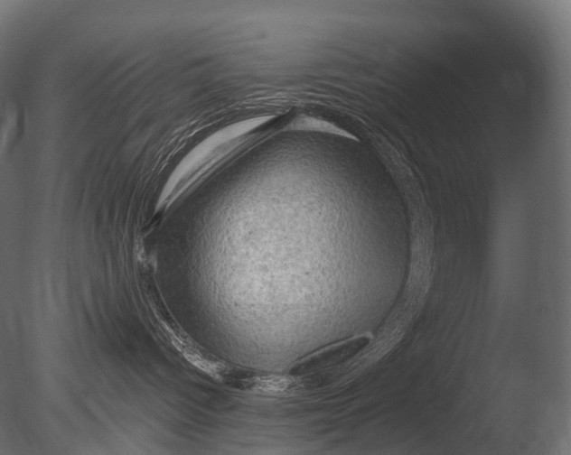X0000085060096200703261216