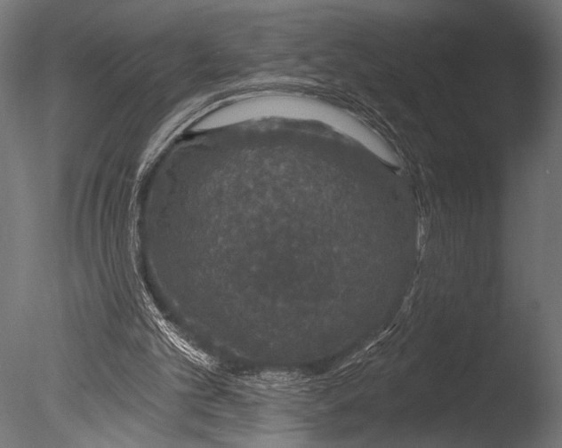 X0000085060101200703261215