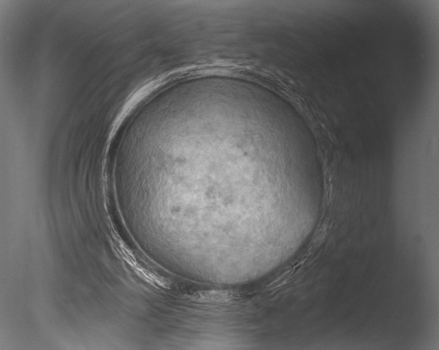 X0000085060102200703261215