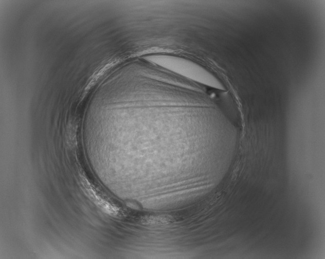 X0000085060106200703261215