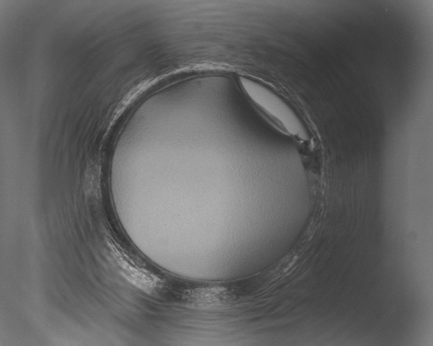 X0000085060108200703261215