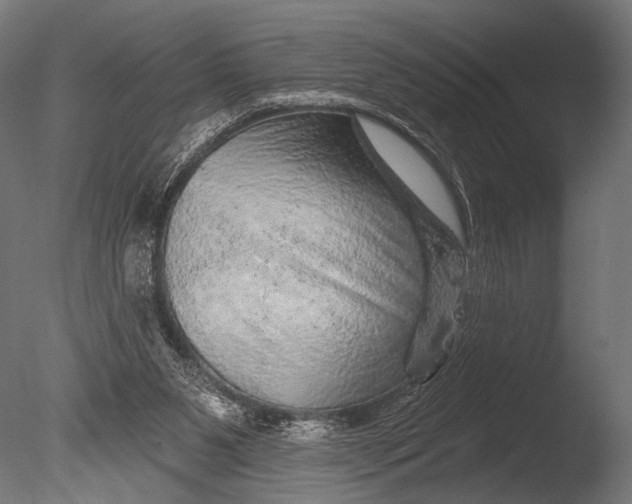 X0000085060111200703261215