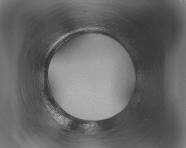 X0000085060112200703261215
