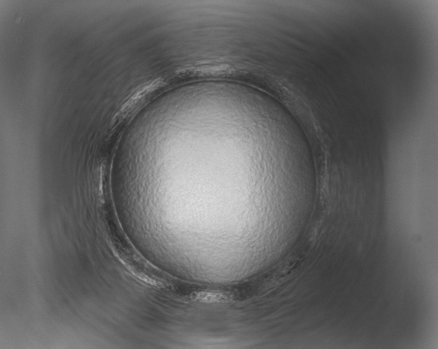 X0000085060115200703261215
