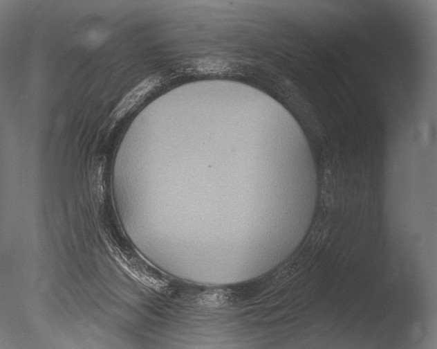 X0000085060116200703261215