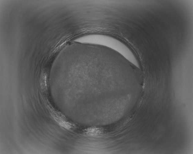 X0000085060117200703261215