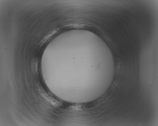 X0000085060120200703261215