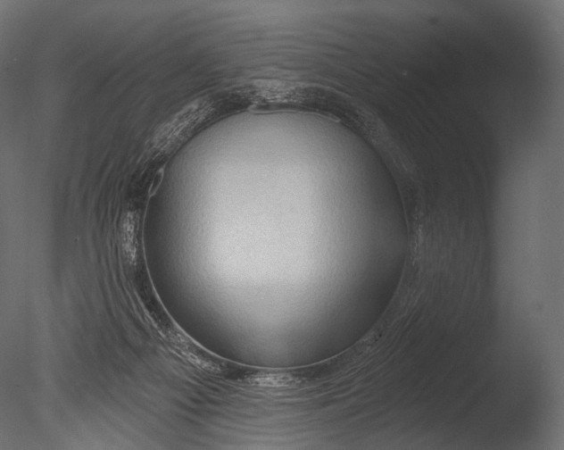 X0000085060121200703261215