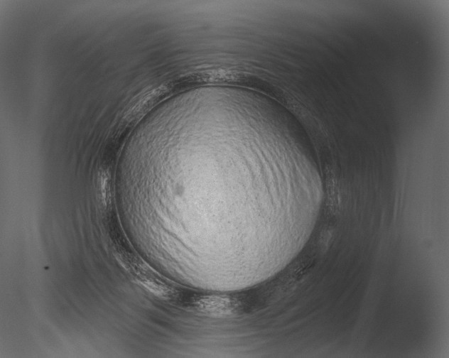 X0000085060123200703261215
