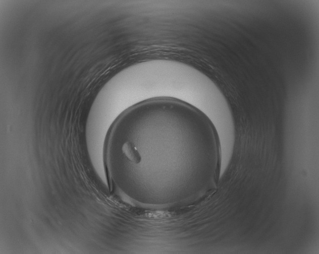 X0000085060125200703261215