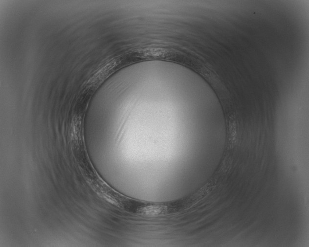 X0000085060126200703261215