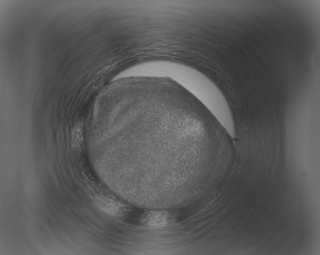 X0000085060127200703261215