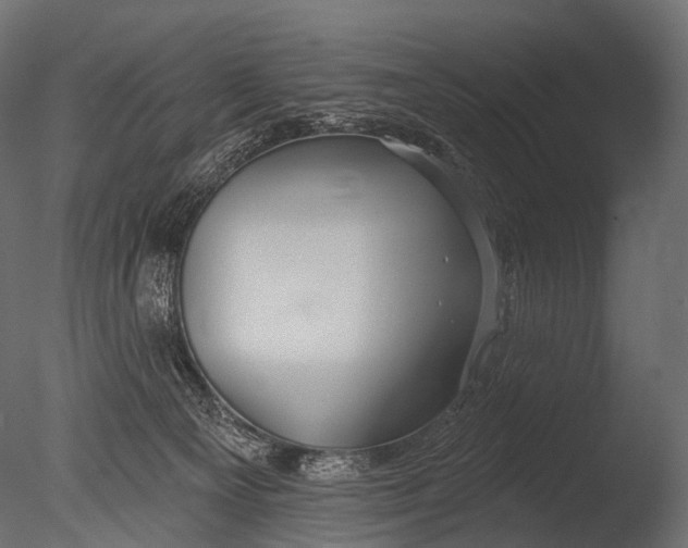 X0000085060129200703261215