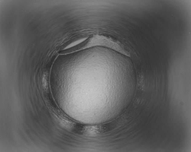 X0000085060131200703261215