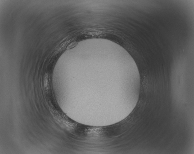X0000085060132200703261215