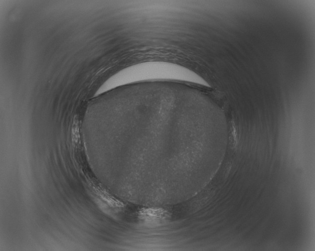 X0000085060137200703261215