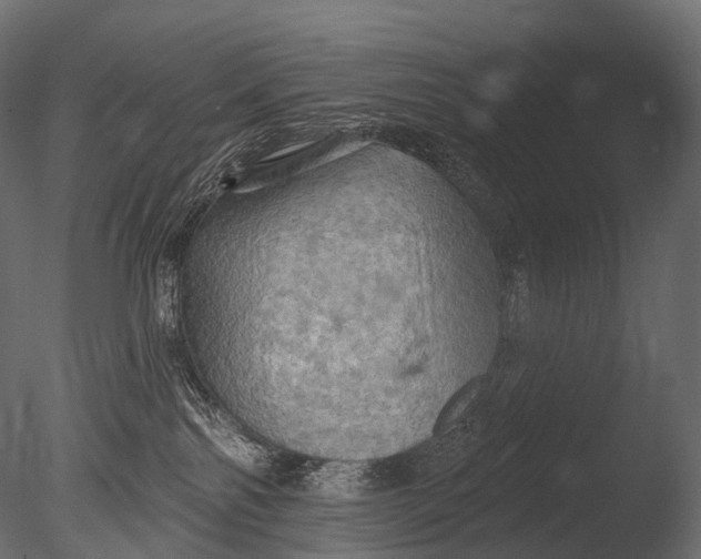 X0000085060138200703261215