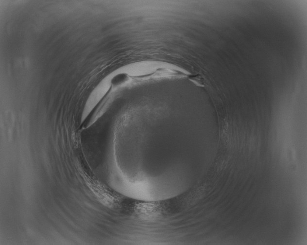 X0000085060139200703261215