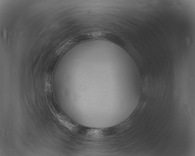 X0000085060140200703261215