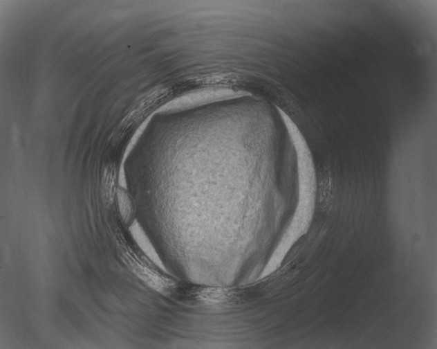 X0000085060142200703261215