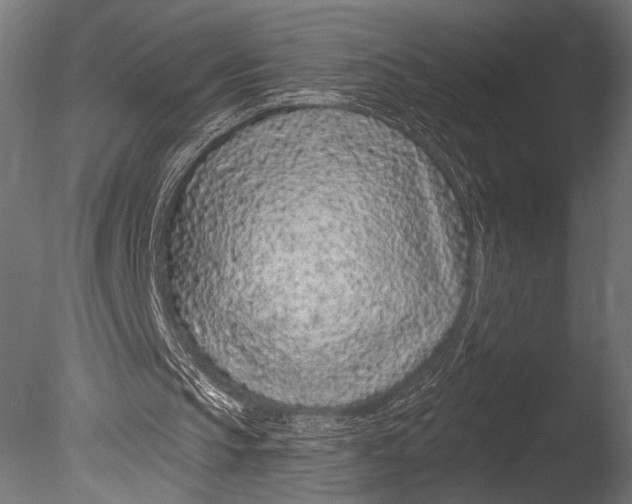 X0000085060145200703261214