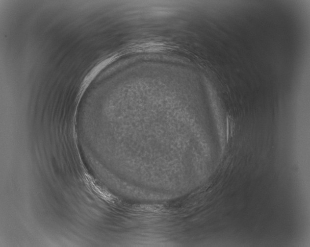 X0000085060147200703261214