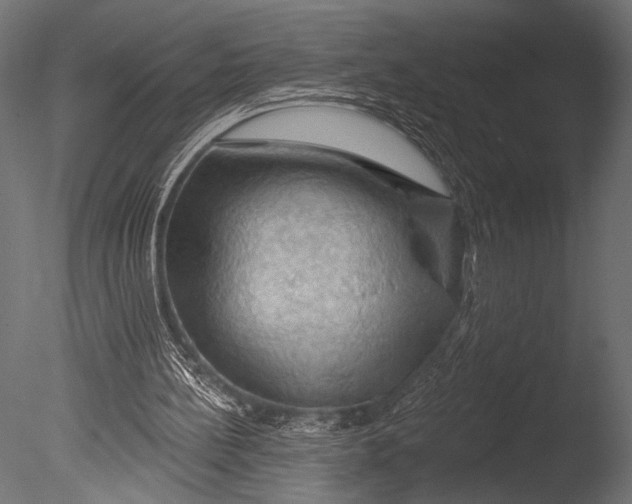 X0000085060148200703261214