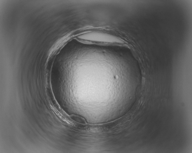 X0000085060149200703261214