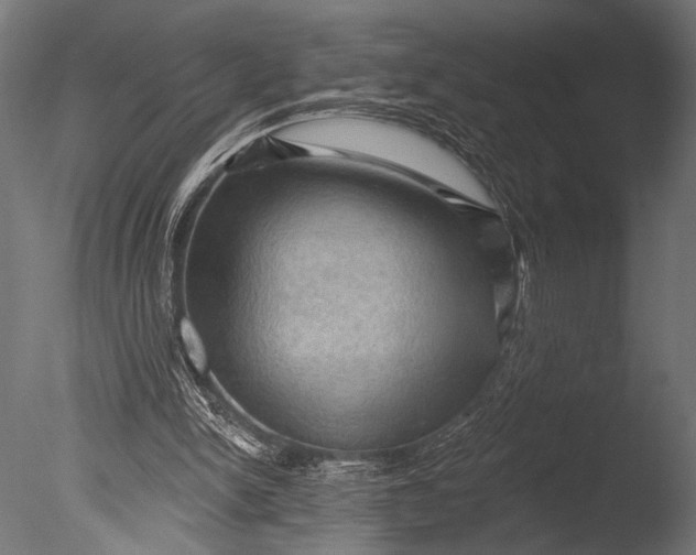 X0000085060150200703261214