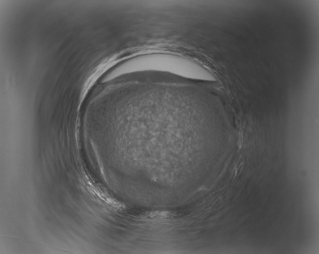 X0000085060152200703261214