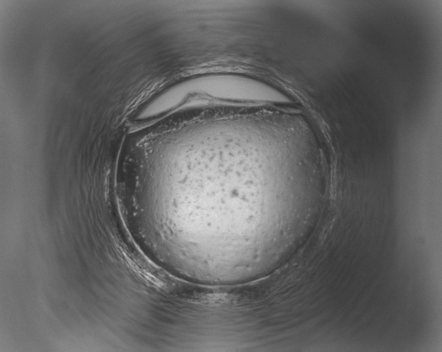 X0000085060153200703261214