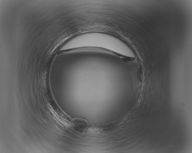 X0000085060154200703261214