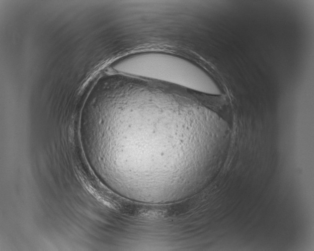 X0000085060155200703261214