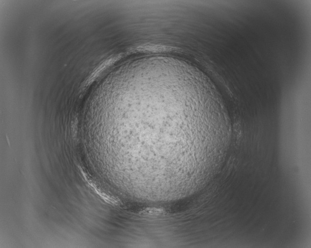 X0000085060159200703261214