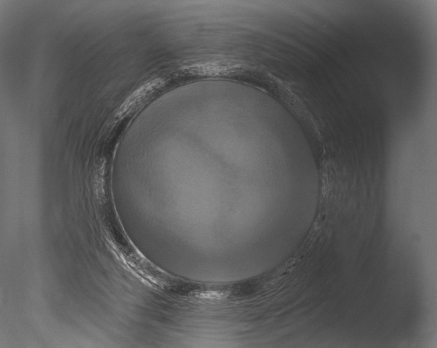 X0000085060163200703261214