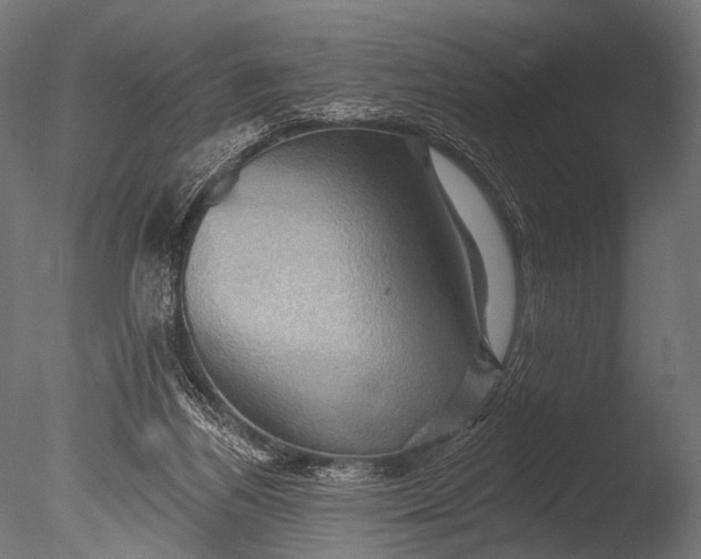 X0000085060164200703261214
