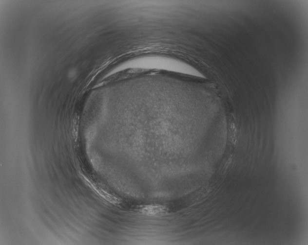 X0000085060168200703261214