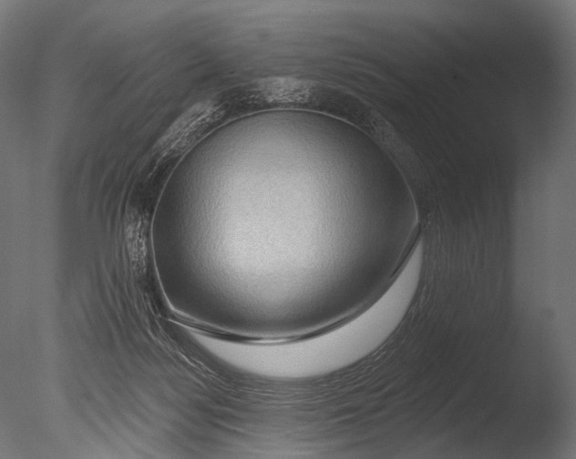 X0000085060172200703261214