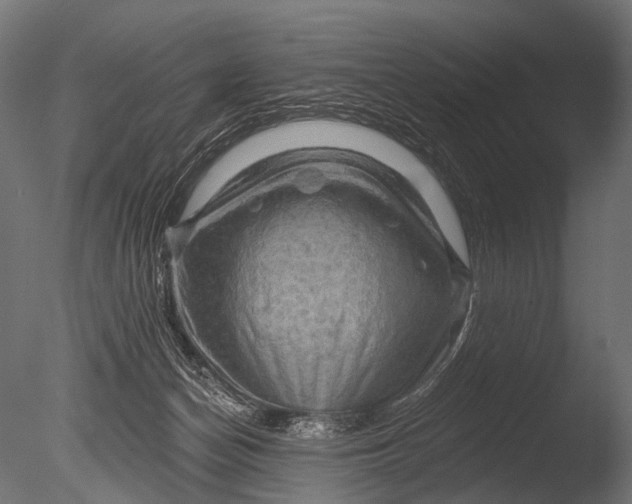 X0000085060174200703261214
