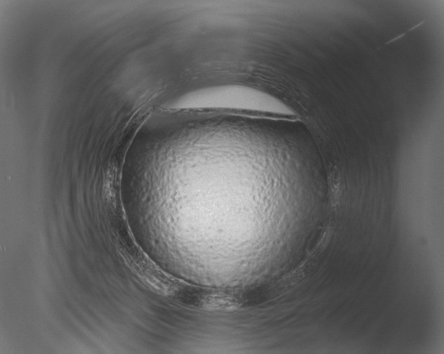 X0000085060175200703261214