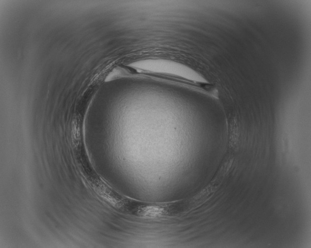 X0000085060176200703261214
