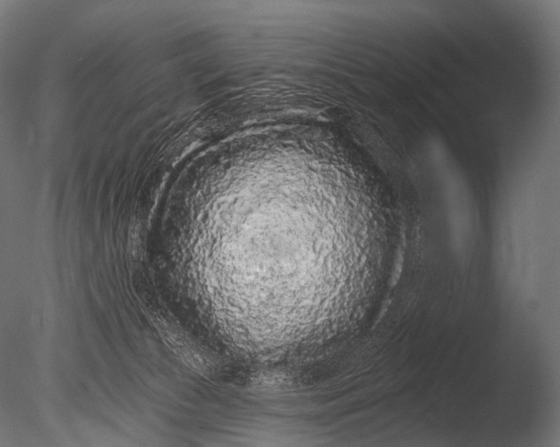 X0000085060177200703261214