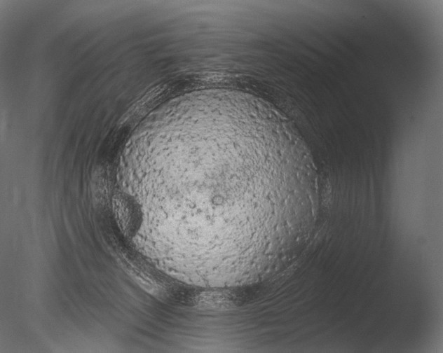 X0000085060179200703261214