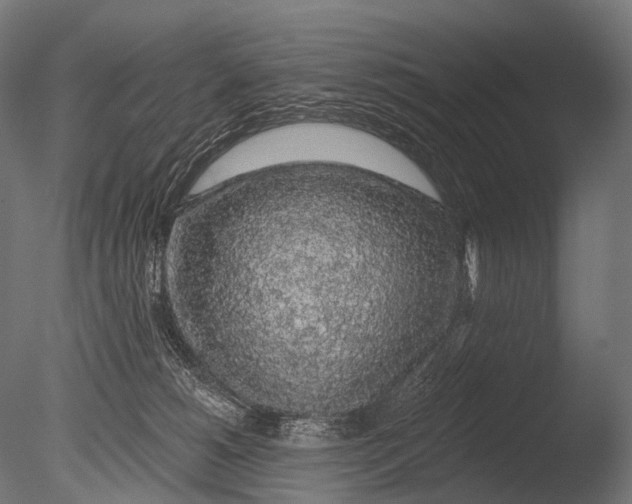 X0000085060180200703261214