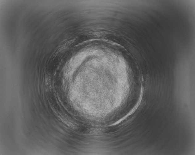 X0000085060182200703261214