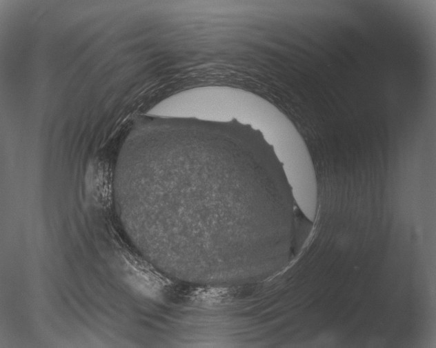 X0000085060186200703261214